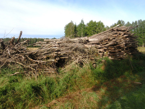 Roadside Timber Pile/Stack.